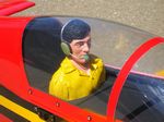 pilot figure