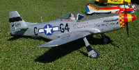 WWIIMustang_small.jpg