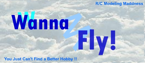 wanna fly